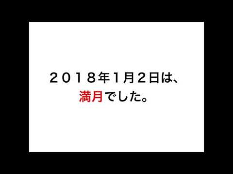 初詣は、金運神社に行きました！