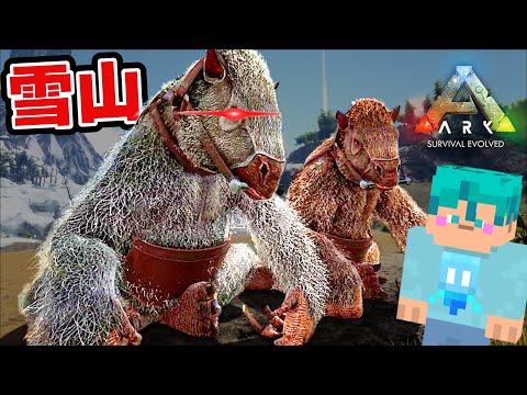 雪山のバーゲンセールをナメすぎた結果【ARK】【アーク】#10