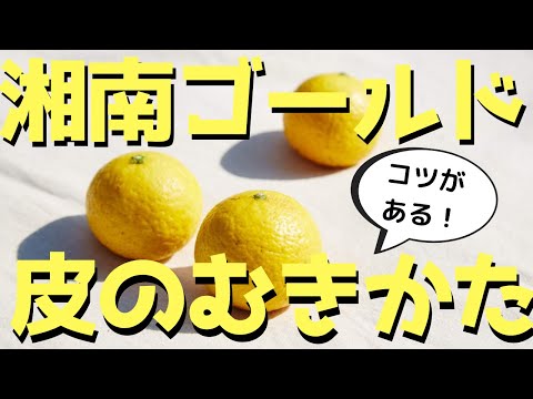 【とても簡単！】湘南ゴールドの皮のむきかた【ファームハウスみどり】