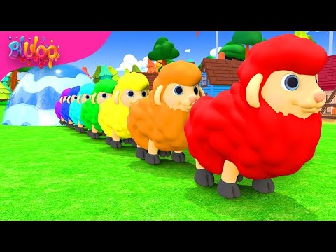 Baa Baa Black Sheep Song | Colorful Sheep | BluLoo Nursery Rhymes & Kids Songs