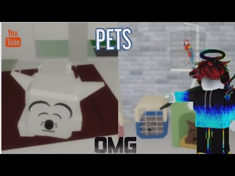 Nova atualização dos pets no Brookhaven!