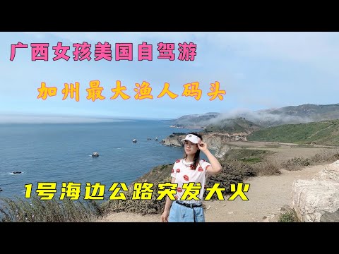 广西女孩美国自驾游，加州1号海边公路美景尽收眼底