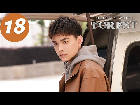 ENG SUB | Black & White Forest | EP18 | 黑白森林 | Ding Yuxi, Ning Li, Han Xue