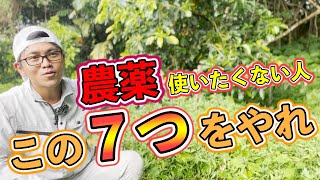 【必見】農薬を使いたくない人！この工夫がおすすめ！無農薬栽培を達成する大事な7つ！