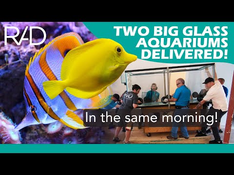 TWO BIG GLASS AQUARIUMS DELIVERED IN THE SAME MORNING - REEF AQUARIA DESIGN - FORT LAUDERDALE