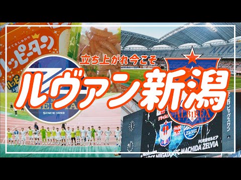 【VLOG】#70 ⚽️黒田ゼルビア初の5失点🫠まだ90分ある立ち上がれ今こそ　#fc町田ゼルビア  #アルビレックス新潟