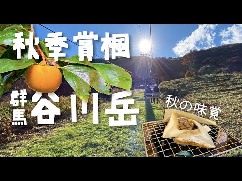 群馬 | 谷川岳 | 谷川嶽纜車 | 諏訪峽 | 秋季賞楓 | 吃松茸 | 日本巴士一日遊 | 旅遊日記