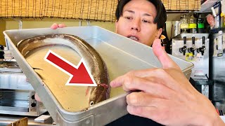 【凄い穴子】魚屋がこの捌き方と食べ方をお見せします。