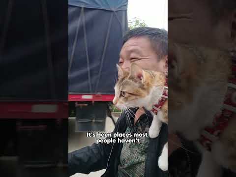 Part 2------a dude in his fifties wound up with an unbreakable bond with a stray cat.