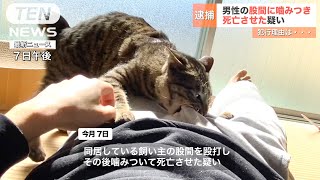 【News】Man dies after being bitten in the groin by a cat....