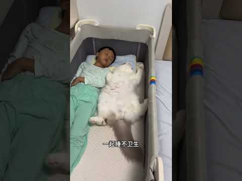 猫咪真的是尊老爱幼哦… #萌娃和萌宠