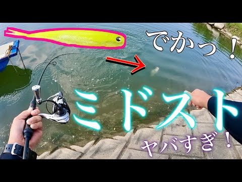 【筑後川バス釣り】初めてミドストやってみたけどヤバすぎた、、、