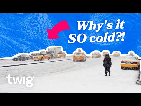 Extreme Winter Weather Hits the US | Twig Science Reporter