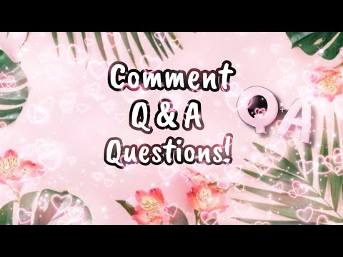 || COMMENT Q AND A QUESTIONS!! 💗 || road to 300