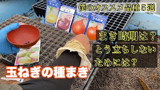 玉ねぎの種まき・とう立ちしないためには？簡単な苗の作り方