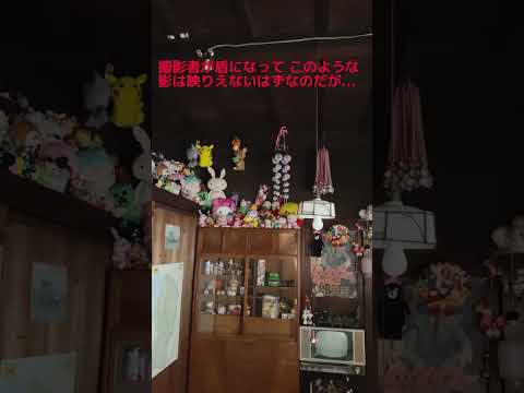 箪笥に映る影は座敷わらしなのか？#shorts#タガマヤ村