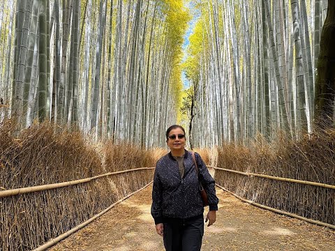 Japan Trip 2024 - Day 5 - Kyoto - Arashiyama (Bamboo Grove, Katsura River, Togetsukyo Bridge)