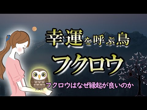 【フクロウ】カフェでも大人気のフクロウの魅力｜金運UPにもいいとされる理由