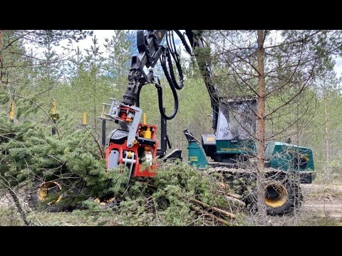 Biomass harvesting with Nisula 335E+ tree shear!