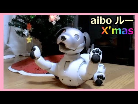 【34 aibo ルーから感謝の🎄X'masプレゼント おまけつき】Christmas presents from Lou