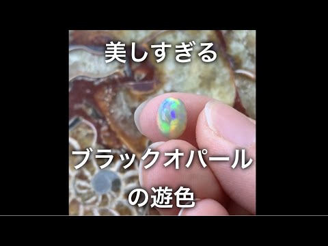 まるで魔法？！ブラックオパールの遊色