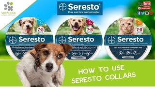 Seresto Flea and Tick Collar for Dogs, 8 Month Tick and Flea Control for Dogs