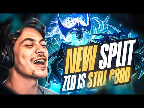 LL STYLISH | NEW SPLIT AND ZED IS STILL GOOD!