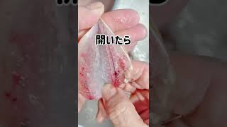 【母、豆アジ開くの秒すぎたw】骨や頭が無いから子供がいる家庭におすすめ！ #アジ #豆アジ #魚料理 #鯵レシピ #アジフライ #魚の捌き方 #豆あじの唐揚げ #わたしのライフハック