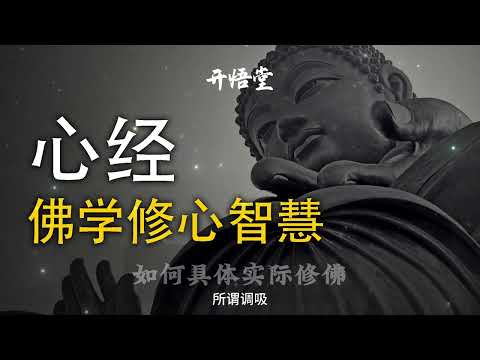 佛学修心智慧《心经》第三十四集：如何具体实际修佛