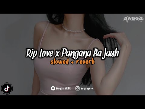 DJ Rip Love x Pangana Ba Jauh (Slowed & Reverb) 🎧