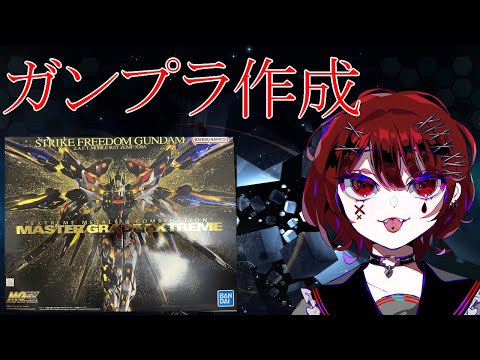 ガンプラ作製配信ぱーと4　 MGEXストライクフリーダムガンダム　今度こそ完成耐久配信