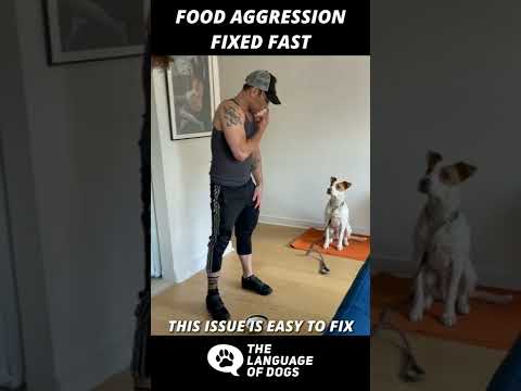 FOOD AGGRESSION FIXED FAST