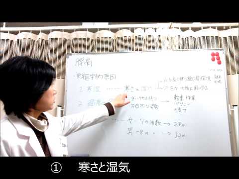 中野区野方・高円寺駅で腰痛の改善//【中野区・高円寺駅の鍼灸整骨院＆整体院】//東洋医学からみた腰痛2/13