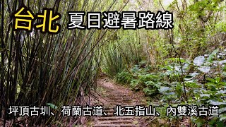 【夏日避暑路線】坪頂古圳、荷蘭古道、北五指山、內雙溪古道Ｏ型走全記錄 #台北步道 #台北景點 #健行