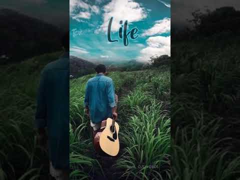 life whatsapp status video