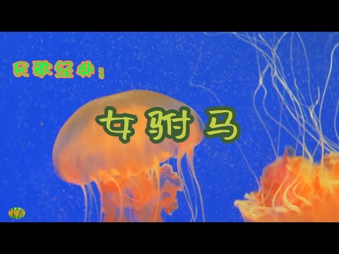 女驸马 - 黄梅戏名段