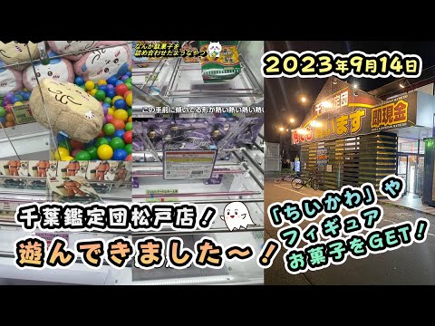 【2023年9月14日】千葉鑑定団松戸店で遊んできました！ちいかわクッションやフィギュア・疑似箱・お菓子を狙っていきます。