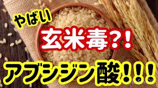 【玄米毒】アブシジン酸を徹底解説！！玄米講座⑥