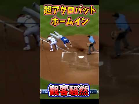 【超絶プレー】超アクロバットホームインに場内騒然 #baseball #mlb