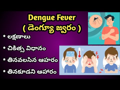 Dengue Fever Symptoms and treatment in Telugu | డెంగీ జ్వరం లక్షణాలు, చికిత్స విధానం