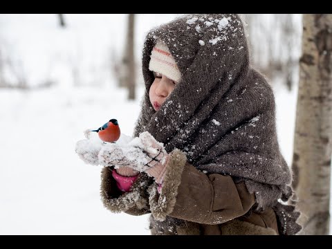 "НЕ ЗАМЕРЗАЙ,СЕРДЕЧКО"Самая добрая песенка...