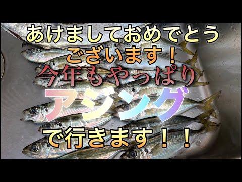 【アジング】2024年もやっぱりアジングでいきます！！【horse mackerel fishing】アジングが好きだ！笑