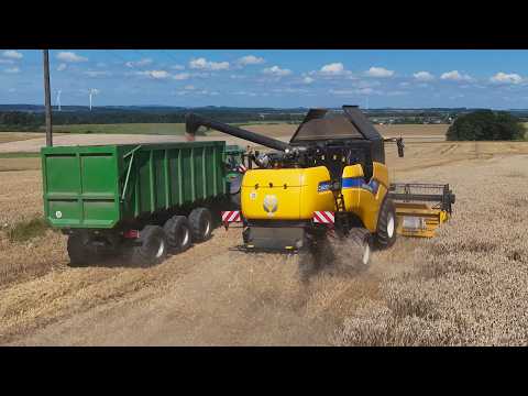 Combining wheat | New Holland CX 6.90 // John Deere 6250R | Vulkaneifel 2024