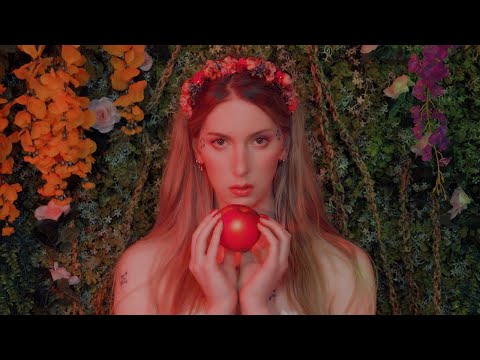 Shame | ContraPoints