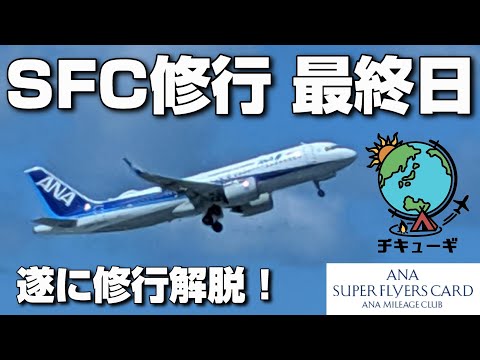 【SFC修行】全8日間でプラチナ会員へ！最終日『修行解脱！感動のフィナーレ』