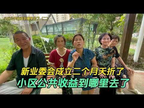 浦江镇一小区居民的烦心事，小区公共收益去哪里了