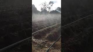 LE SYSTÈME D'IRRIGATION LASER SPRAY EN ACTION