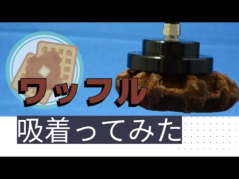 【吸着ってみた】ワッフル【コンバム】