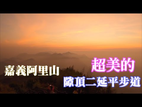 嘉義阿里山隙頂二延平步道｜沒有雲海，夕陽餘暉也超美的｜一定要傍晚時刻來喔～必定再訪的景點｜這是夕陽餘暉風景片