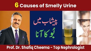 6 Causes of Smelly Urine - Bad Urine Odor - the Best Nephrologist in Lahore